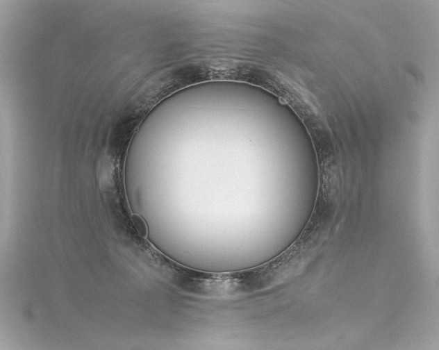 X0000116290225200911301425