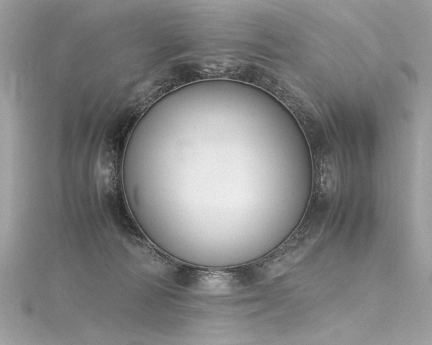 X0000116290226200911301425