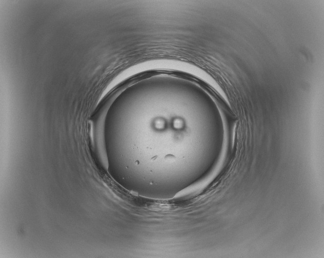 X0000116290227200911301425