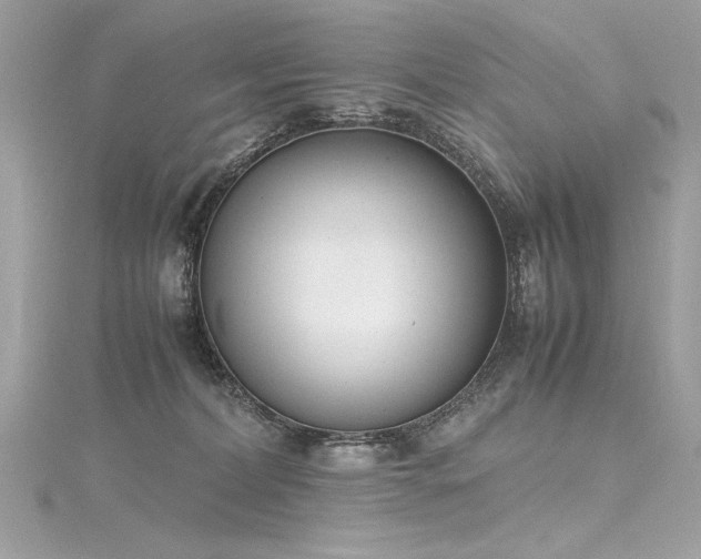 X0000116290228200911301425