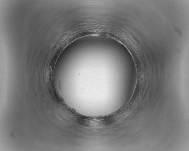 X0000116290229200911301425