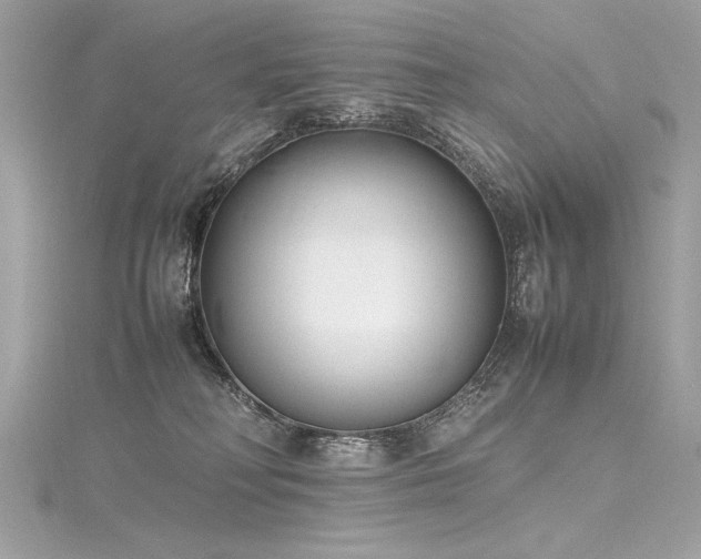 X0000116290230200911301425