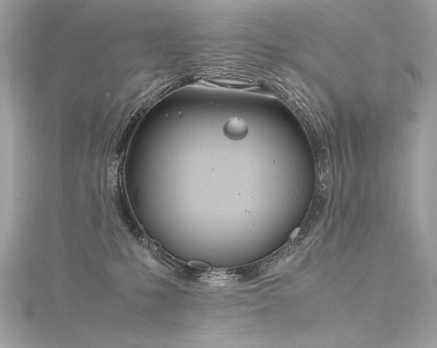 X0000116290231200911301425