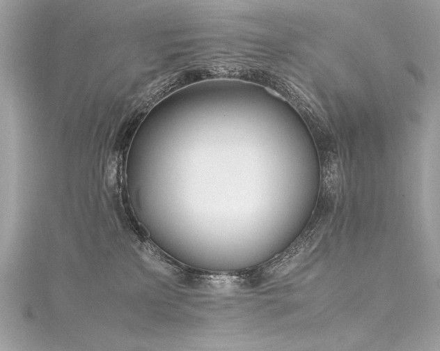 X0000116290233200911301425