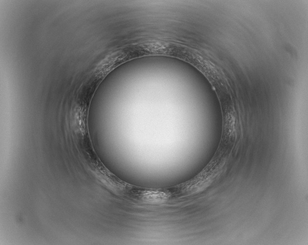 X0000116290234200911301425