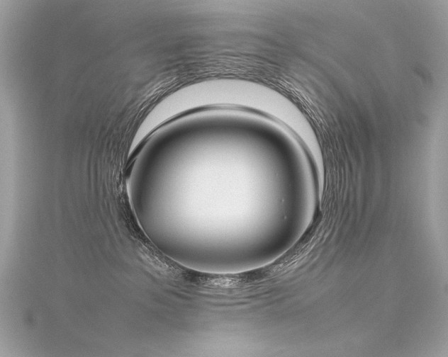 X0000116290237200911301425