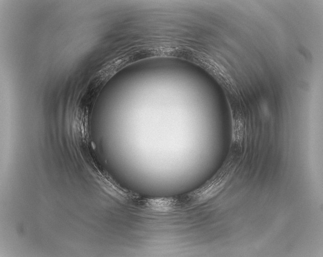 X0000116290238200911301425