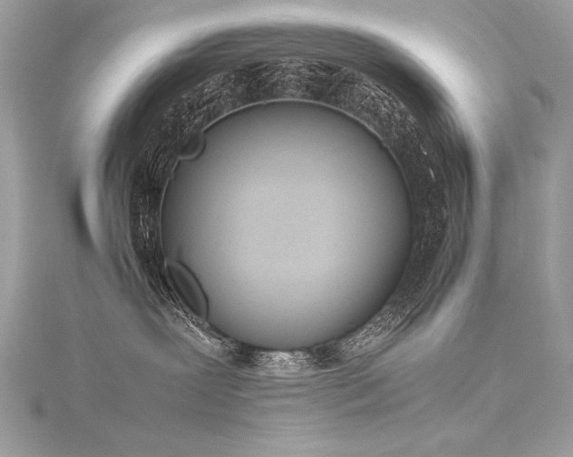 X0000116290239200911301425