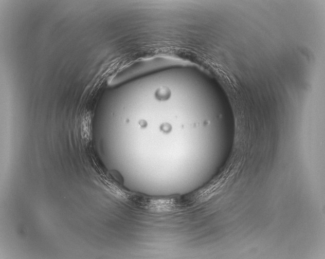 X0000116290240200911301425