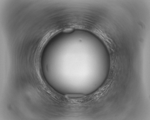 X0000116290241200911301425