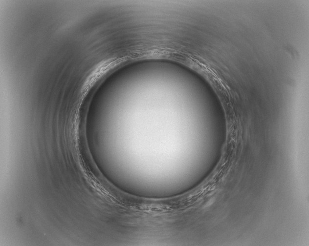 X0000116290242200911301425