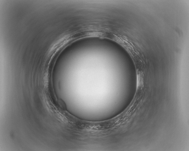 X0000116290243200911301425