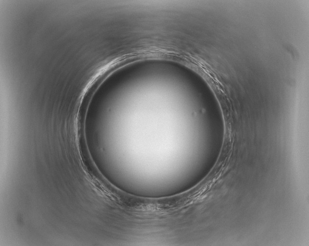 X0000116290244200911301425