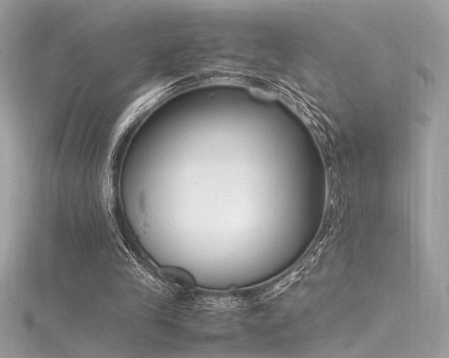 X0000116290245200911301425