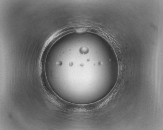 X0000116290246200911301425