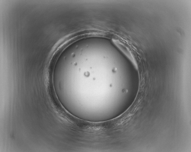 X0000116290247200911301425