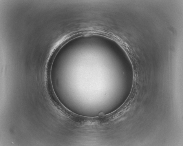 X0000116290248200911301425