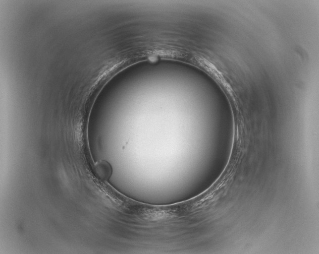 X0000116290249200911301425