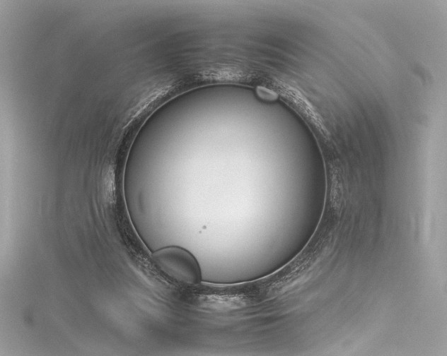 X0000116290251200911301425