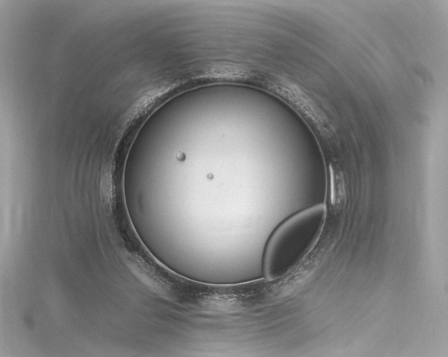 X0000116290252200911301425