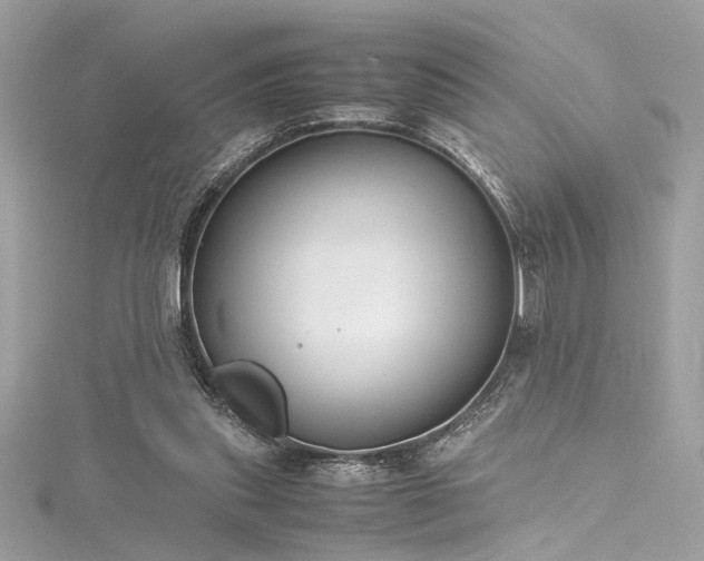 X0000116290253200911301425