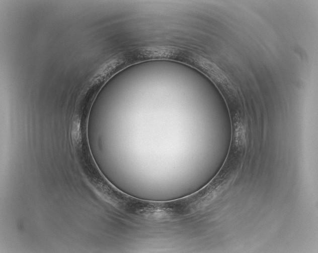 X0000116290254200911301425