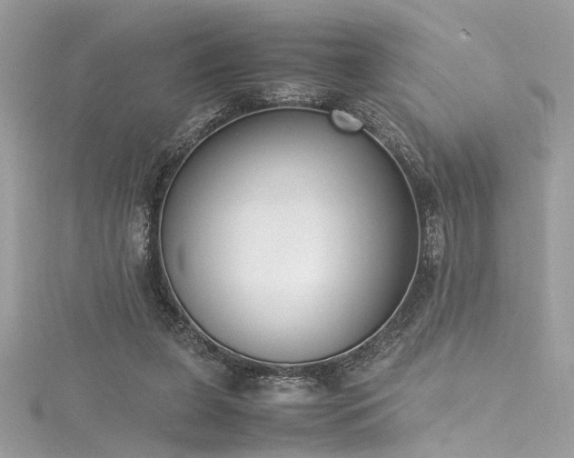 X0000116290255200911301425