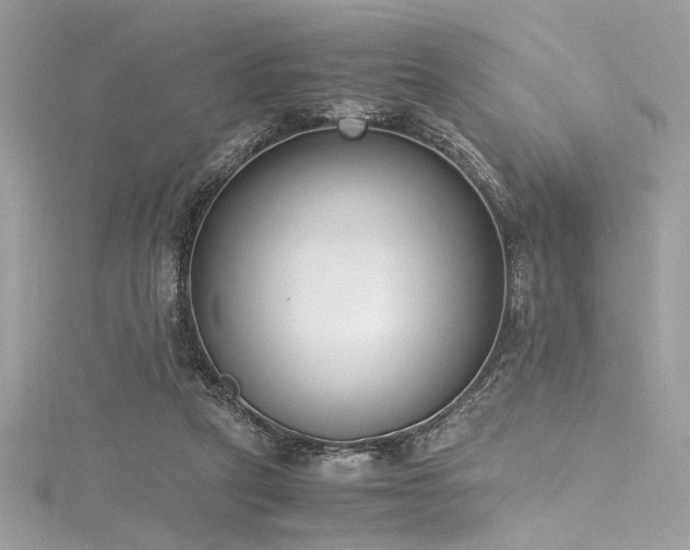 X0000116290257200911301425