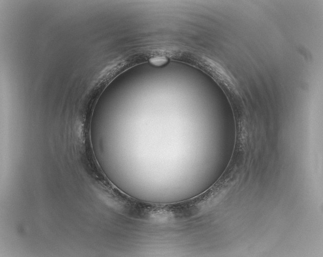 X0000116290258200911301425