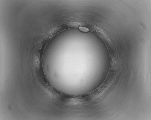 X0000116290259200911301425