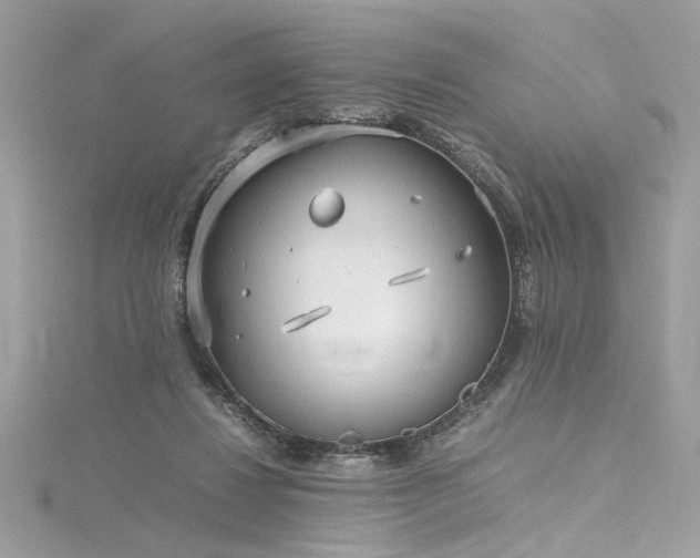 X0000116290260200911301425