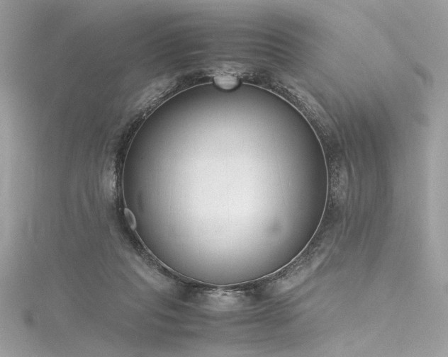 X0000116290261200911301425