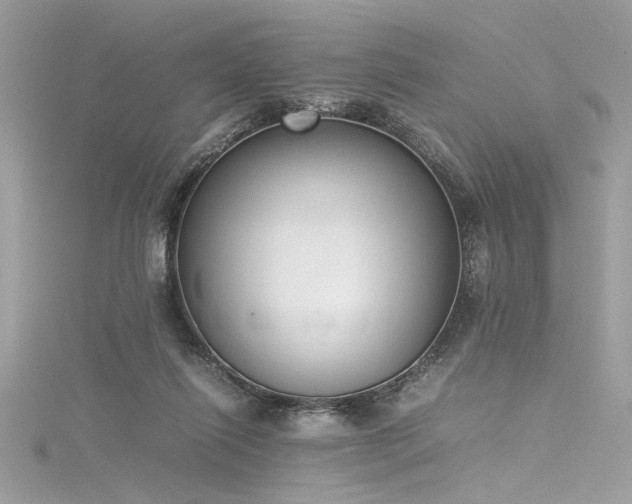 X0000116290262200911301425