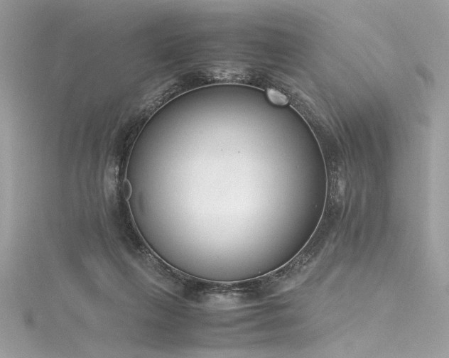 X0000116290263200911301425