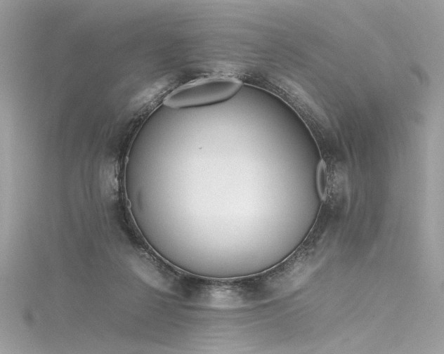 X0000116290264200911301425