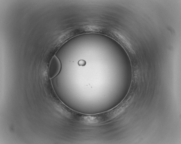 X0000116290265200911301425