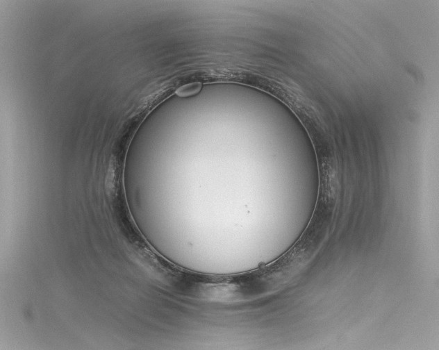 X0000116290266200911301425