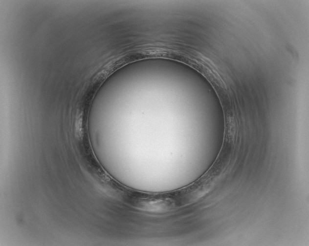 X0000116290267200911301425