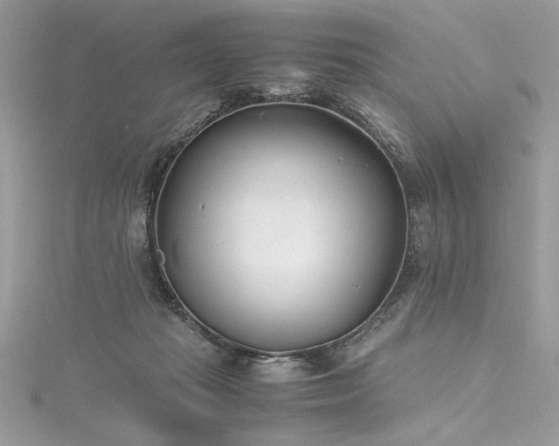 X0000116290269200911301425