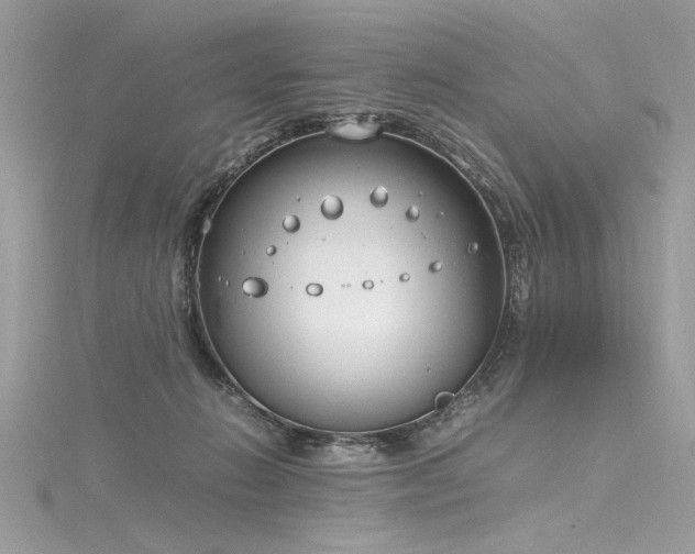 X0000116290270200911301425