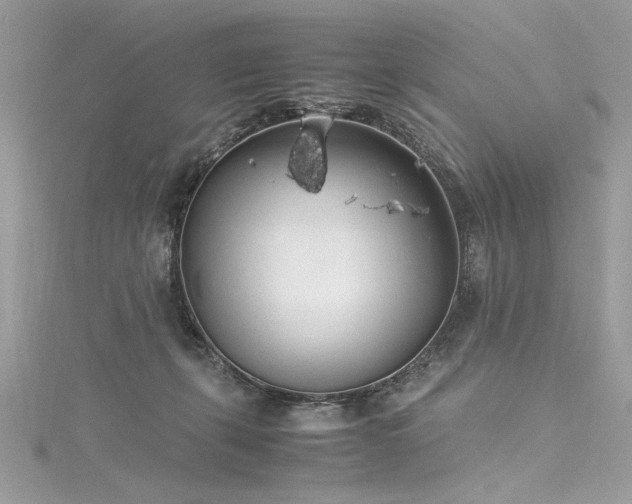 X0000116290271200911301425