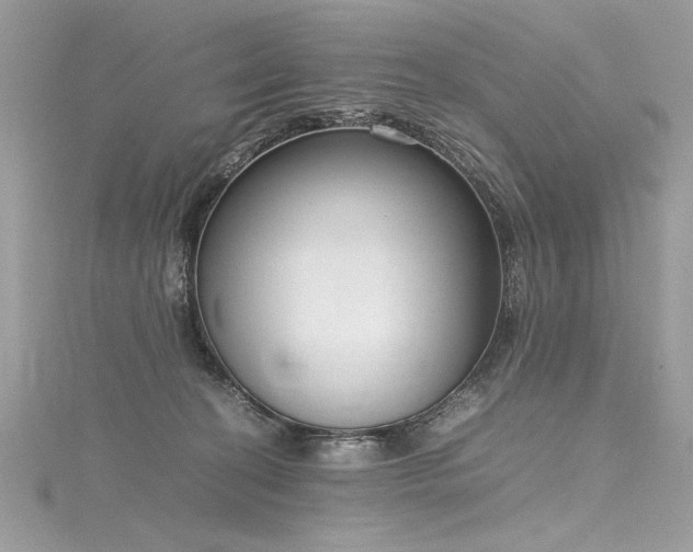 X0000116290274200911301425