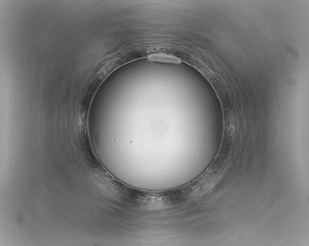 X0000116290276200911301425