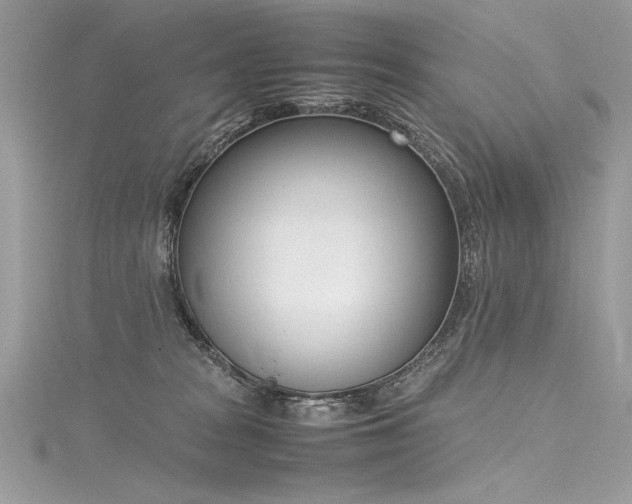 X0000116290277200911301425