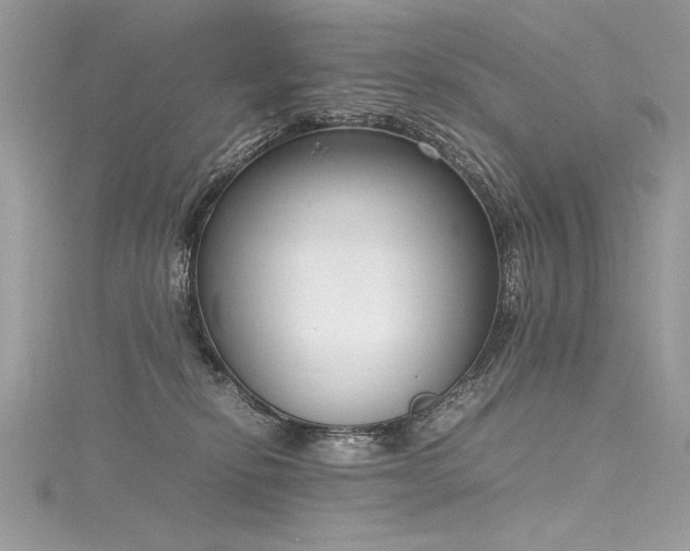 X0000116290278200911301425