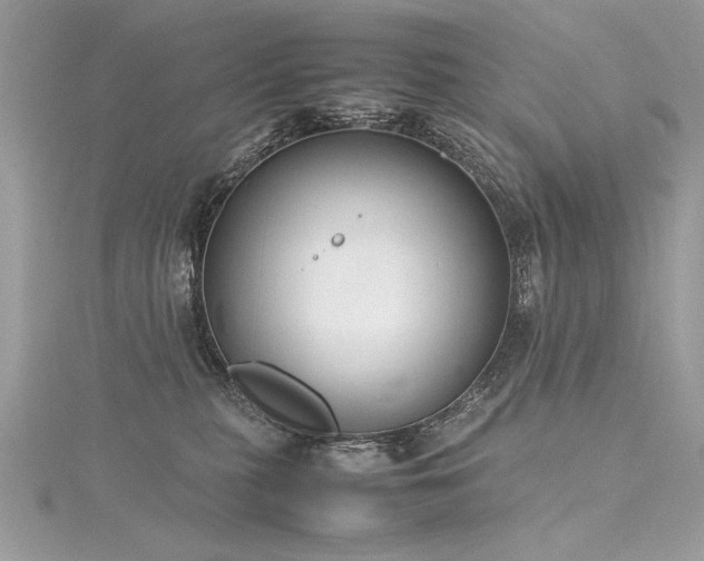 X0000116290279200911301425