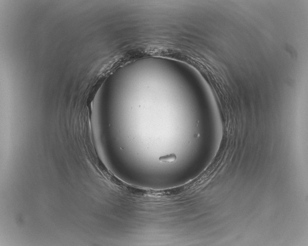 X0000116290280200911301425