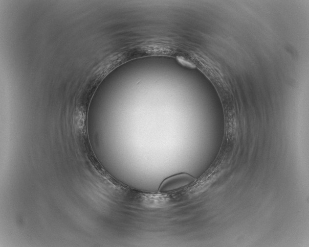 X0000116290281200911301425