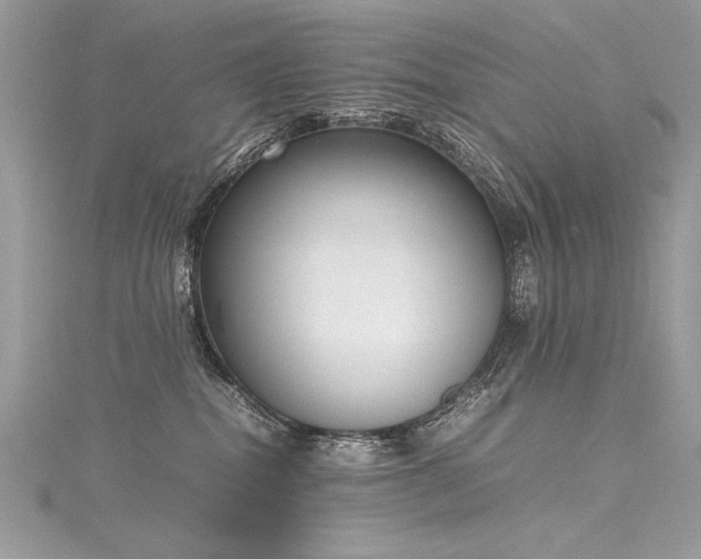 X0000116290282200911301425