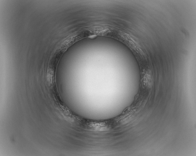 X0000116290283200911301425